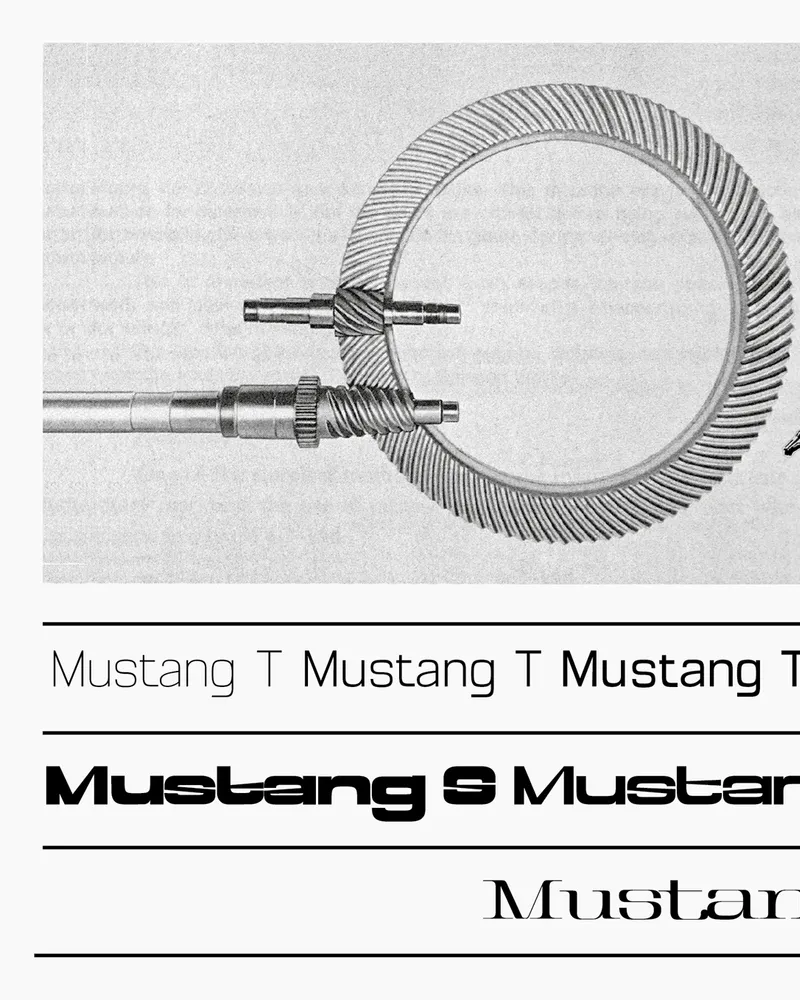 Mustang
