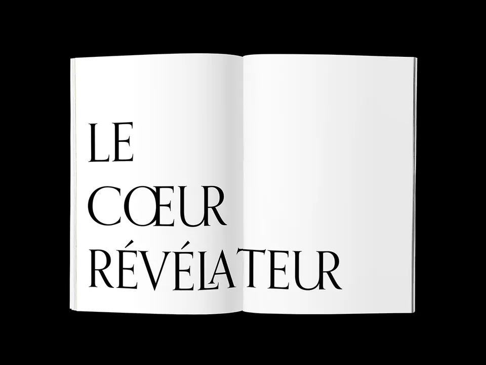 Recueil de nouvelles d'Edgar Allan Poe, image 11
